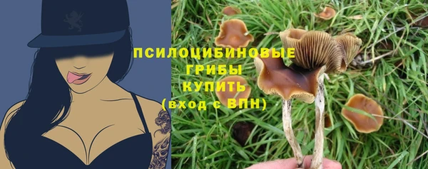 mdpv Балабаново