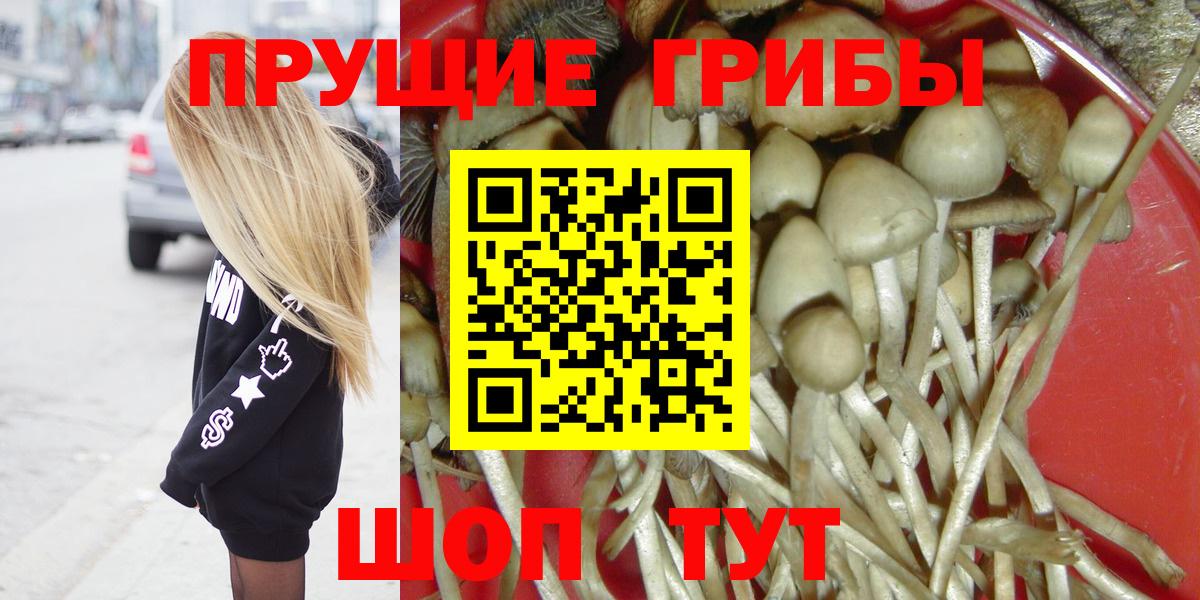 Псилоцибиновые грибы мицелий Калуга